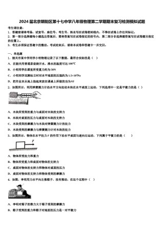 2024届北京朝阳区第十七中学八年级物理第二学期期末复习检测模拟试题含解析.doc