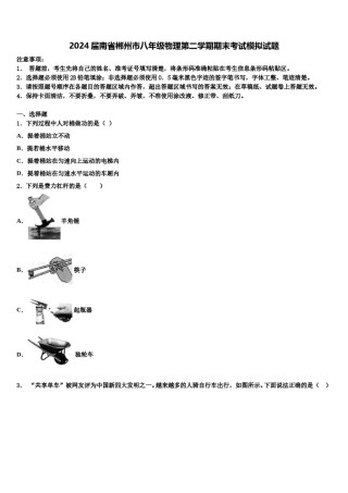 2024届南省郴州市八年级物理第二学期期末考试模拟试题含解析.doc