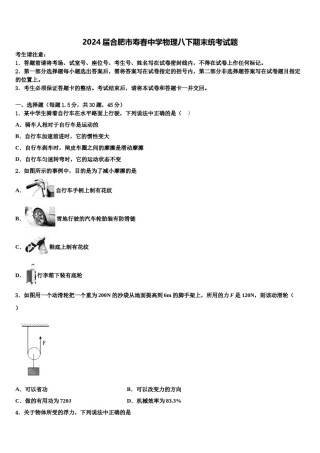2024届合肥市寿春中学物理八下期末统考试题含解析.doc