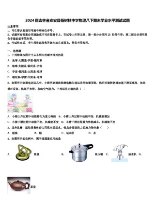 2024届吉林省农安县杨树林中学物理八下期末学业水平测试试题含解析.doc