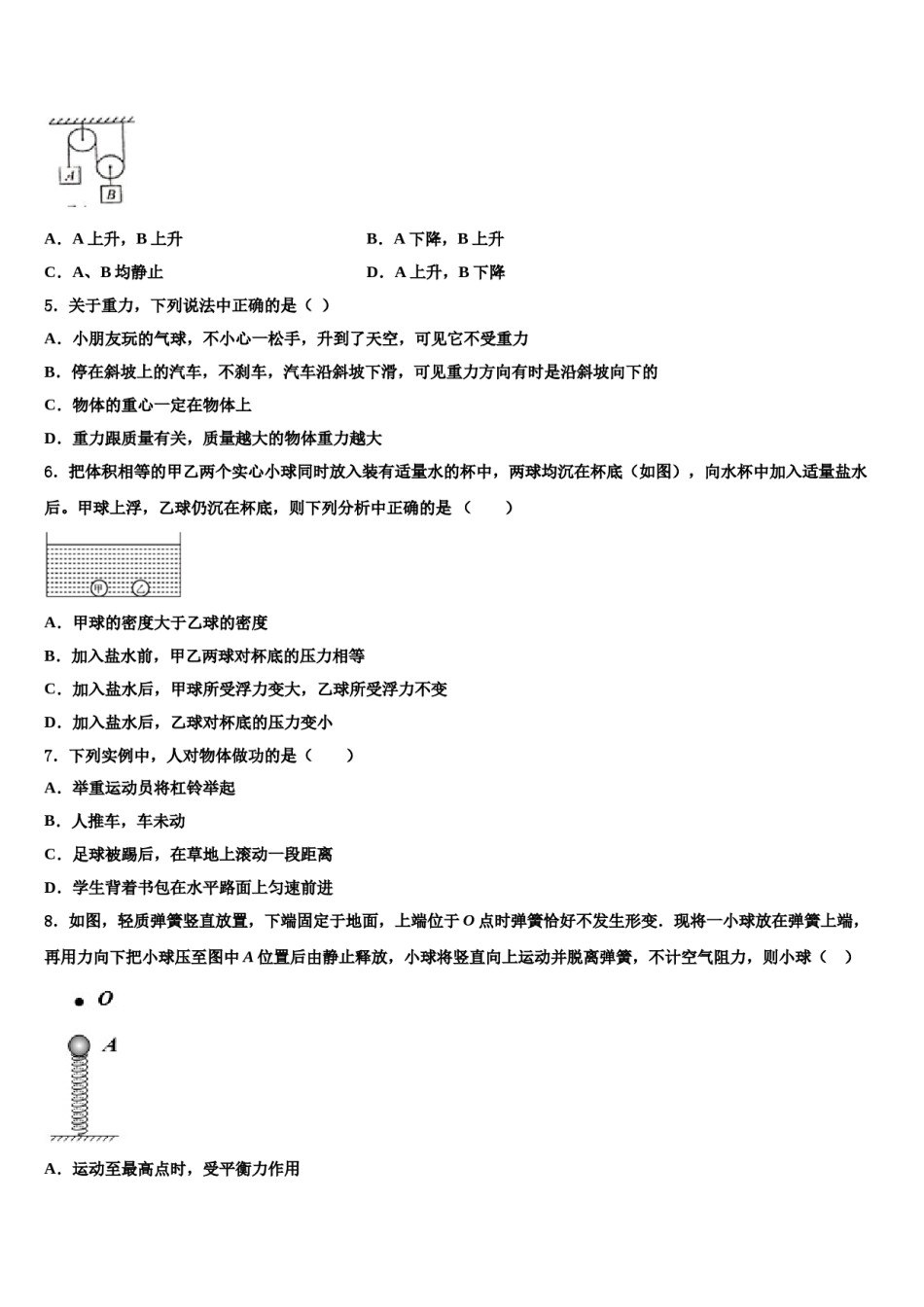 2024届吉林省大安市第三中学物理八下期末监测试题含解析.doc_第2页