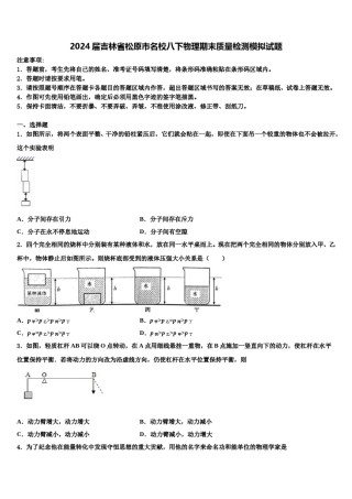2024届吉林省松原市名校八下物理期末质量检测模拟试题含解析.doc