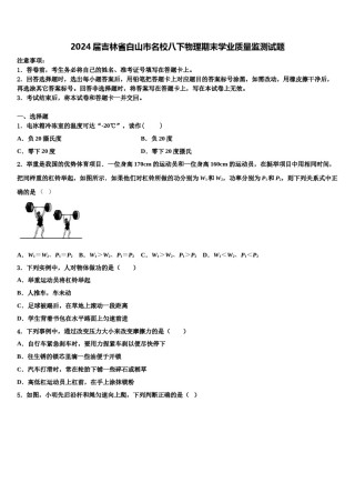 2024届吉林省白山市名校八下物理期末学业质量监测试题含解析.doc