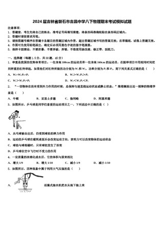 2024届吉林省磐石市吉昌中学八下物理期末考试模拟试题含解析.doc