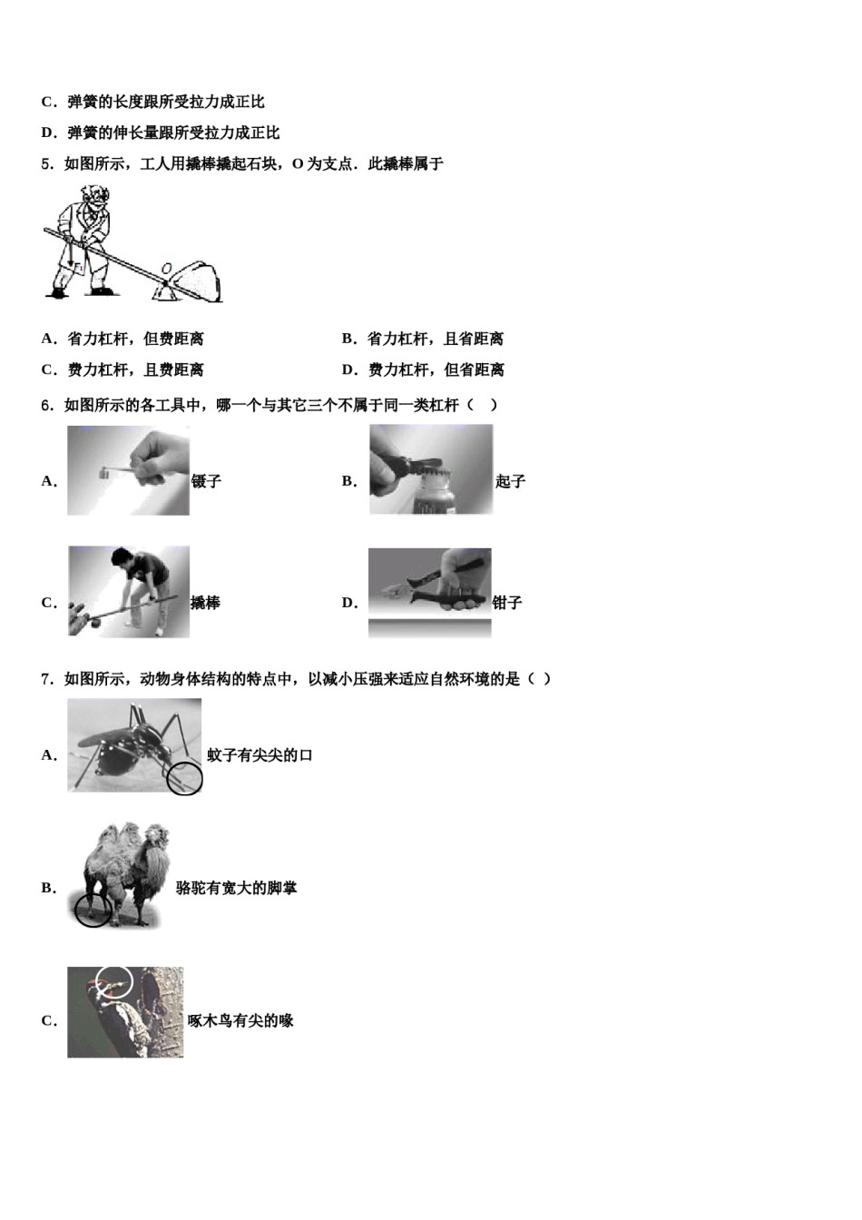 2024届吉林省辉南县第四中学物理八下期末经典试题含解析.doc_第2页