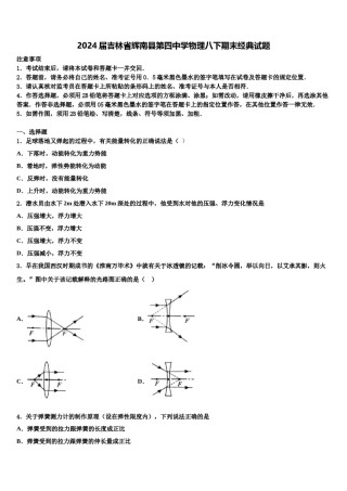 2024届吉林省辉南县第四中学物理八下期末经典试题含解析.doc