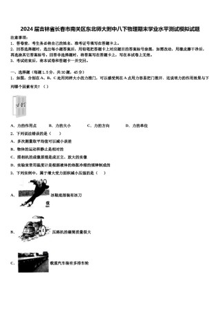 2024届吉林省长春市南关区东北师大附中八下物理期末学业水平测试模拟试题含解析.doc