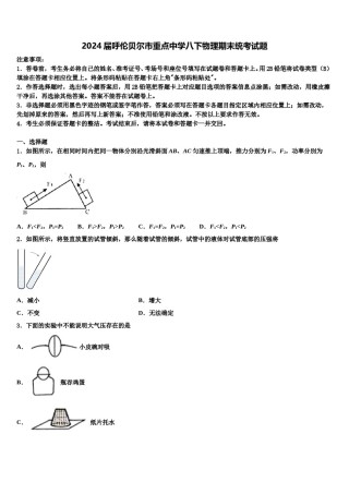 2024届呼伦贝尔市重点中学八下物理期末统考试题含解析.doc