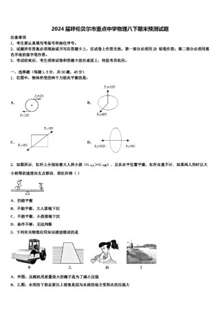 2024届呼伦贝尔市重点中学物理八下期末预测试题含解析.doc