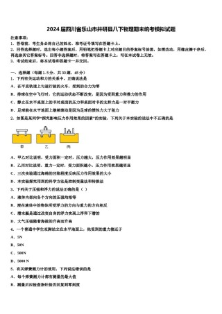 2024届四川省乐山市井研县八下物理期末统考模拟试题含解析.doc