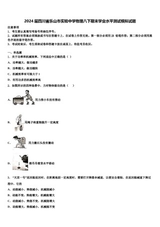2024届四川省乐山市实验中学物理八下期末学业水平测试模拟试题含解析.doc