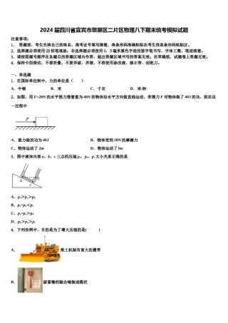 2024届四川省宜宾市翠屏区二片区物理八下期末统考模拟试题含解析.doc
