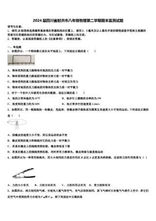 2024届四川省射洪市八年级物理第二学期期末监测试题含解析.doc