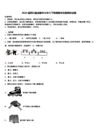 2024届四川省成都市七中八下物理期末经典模拟试题含解析.doc