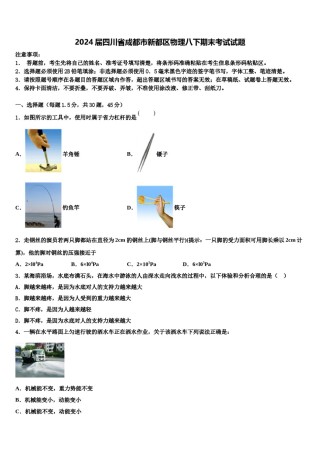 2024届四川省成都市新都区物理八下期末考试试题含解析.doc
