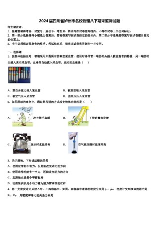 2024届四川省泸州市名校物理八下期末监测试题含解析.doc