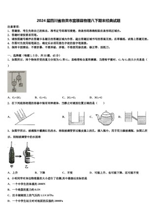 2024届四川省自贡市富顺县物理八下期末经典试题含解析.doc