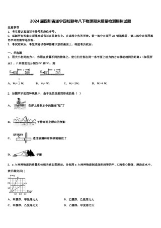 2024届四川省遂宁四校联考八下物理期末质量检测模拟试题含解析.doc