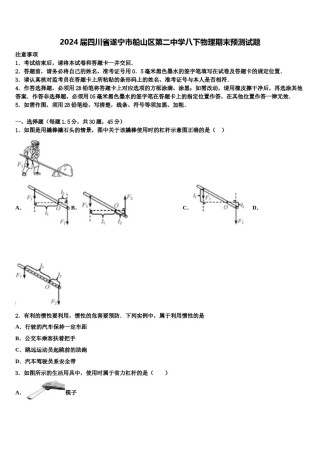 2024届四川省遂宁市船山区第二中学八下物理期末预测试题含解析.doc