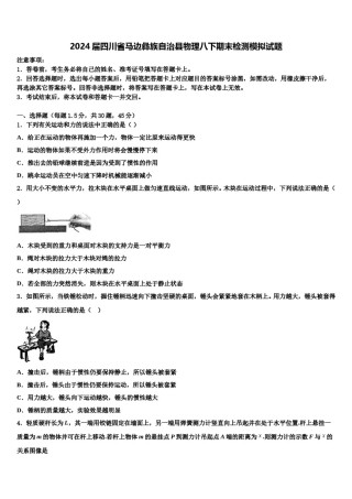 2024届四川省马边彝族自治县物理八下期末检测模拟试题含解析.doc