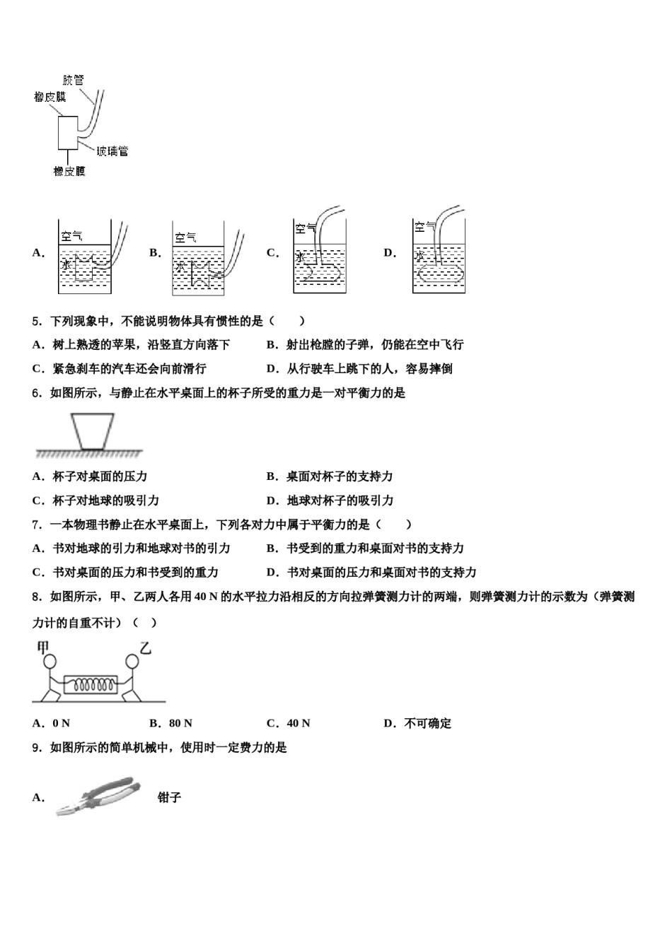 2024届天津市东丽区名校八年级物理第二学期期末质量检测试题含解析.doc_第2页