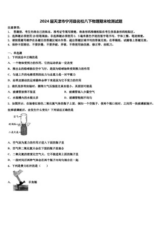 2024届天津市宁河县名校八下物理期末检测试题含解析.doc