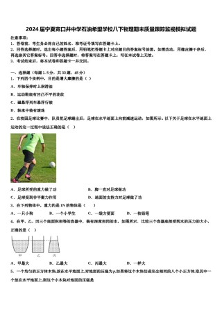 2024届宁夏宽口井中学石油希望学校八下物理期末质量跟踪监视模拟试题含解析.doc