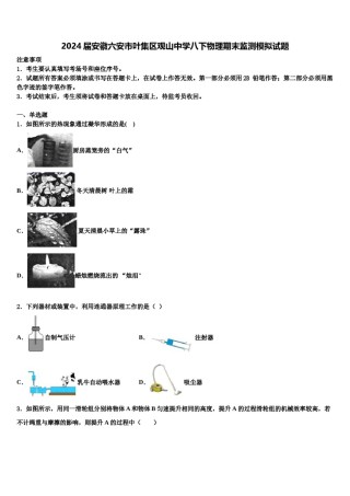 2024届安徽六安市叶集区观山中学八下物理期末监测模拟试题含解析.doc