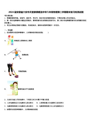 2024届安徽省六安市天堂寨镇暖流中学八年级物理第二学期期末复习检测试题含解析.doc