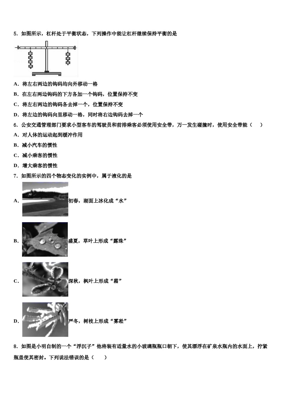 2024届安徽省六安市裕安中学八年级物理第二学期期末学业质量监测模拟试题含解析.doc_第2页