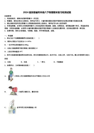 2024届安徽省利辛县八下物理期末复习检测试题含解析.doc