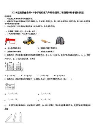 2024届安徽省合肥46中学南校区八年级物理第二学期期末联考模拟试题含解析.doc