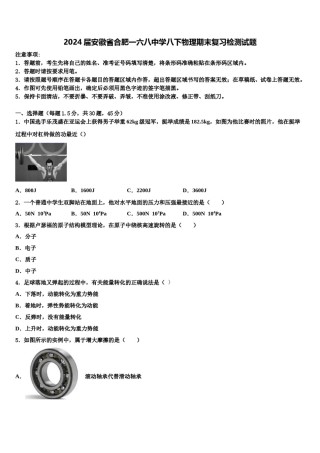 2024届安徽省合肥一六八中学八下物理期末复习检测试题含解析.doc