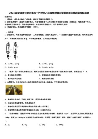 2024届安徽省合肥市第四十六中学八年级物理第二学期期末综合测试模拟试题含解析.doc