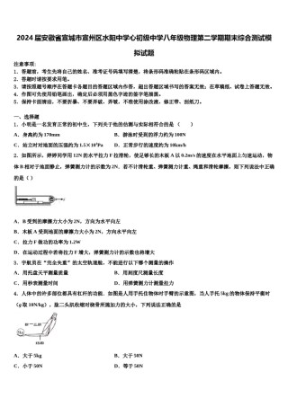 2024届安徽省宣城市宣州区水阳中学心初级中学八年级物理第二学期期末综合测试模拟试题含解析.doc
