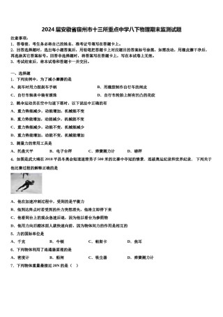 2024届安徽省宿州市十三所重点中学八下物理期末监测试题含解析.doc