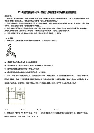2024届安徽省宿州市十三校八下物理期末学业质量监测试题含解析.doc