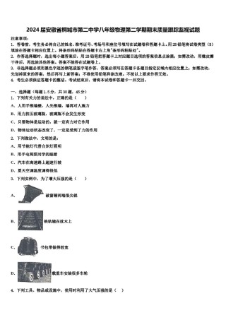 2024届安徽省桐城市第二中学八年级物理第二学期期末质量跟踪监视试题含解析.doc