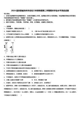 2024届安徽省池州市名校八年级物理第二学期期末学业水平测试试题含解析.doc