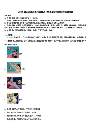 2024届安徽省淮南市寿县八下物理期末质量检测模拟试题含解析.doc