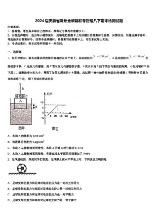 2024届安徽省滁州全椒县联考物理八下期末检测试题含解析.doc
