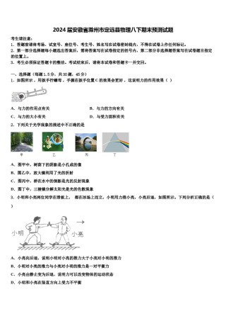 2024届安徽省滁州市定远县物理八下期末预测试题含解析.doc