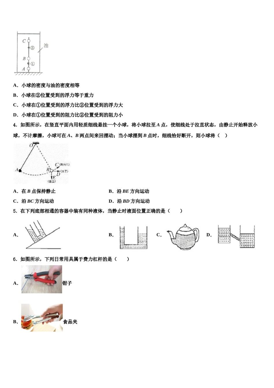 2024届安徽省阜阳市城南中学八年级物理第二学期期末质量跟踪监视试题含解析.doc_第2页