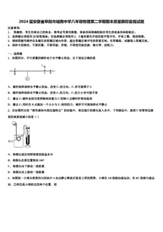 2024届安徽省阜阳市城南中学八年级物理第二学期期末质量跟踪监视试题含解析.doc
