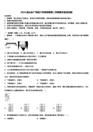 2024届山东广饶县八年级物理第二学期期末监测试题含解析.doc