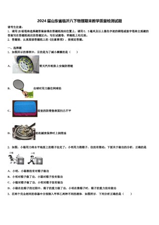 2024届山东省临沂八下物理期末教学质量检测试题含解析.doc