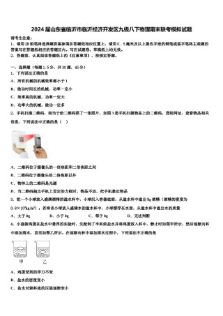 2024届山东省临沂市临沂经济开发区九级八下物理期末联考模拟试题含解析.doc