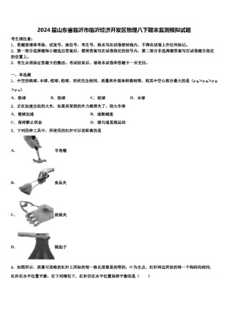 2024届山东省临沂市临沂经济开发区物理八下期末监测模拟试题含解析.doc