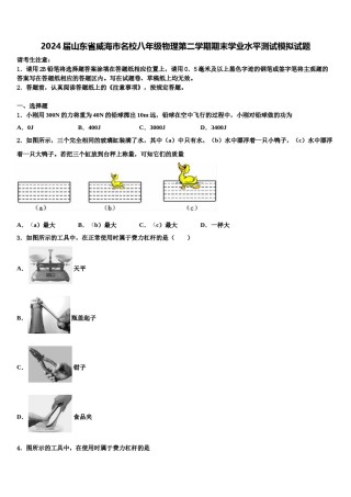 2024届山东省威海市名校八年级物理第二学期期末学业水平测试模拟试题含解析.doc