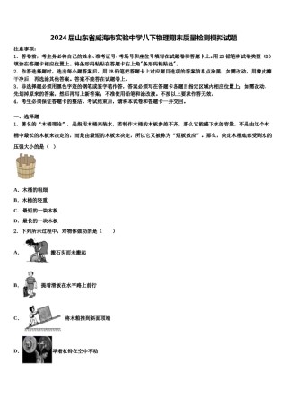 2024届山东省威海市实验中学八下物理期末质量检测模拟试题含解析.doc